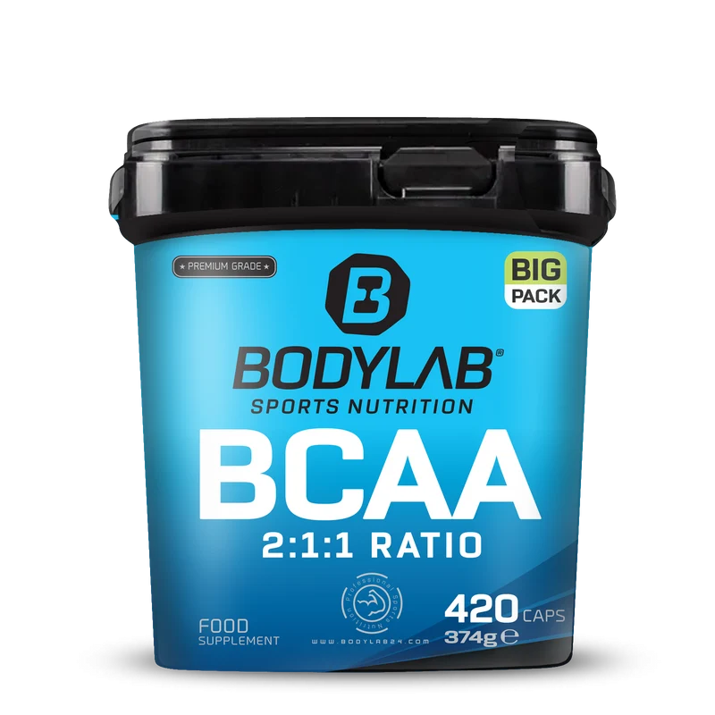 BIG PACK BCAA (420 capsules)