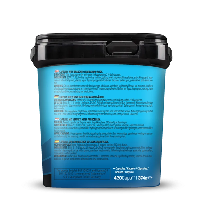BIG PACK BCAA (420 capsules)