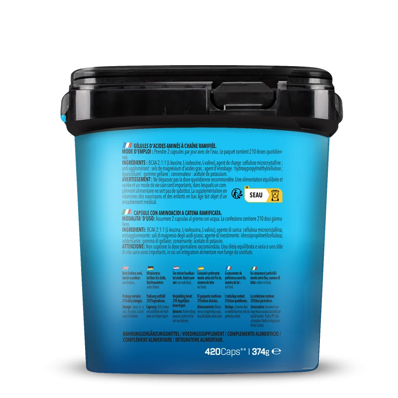 BIG PACK BCAA (420 capsules)