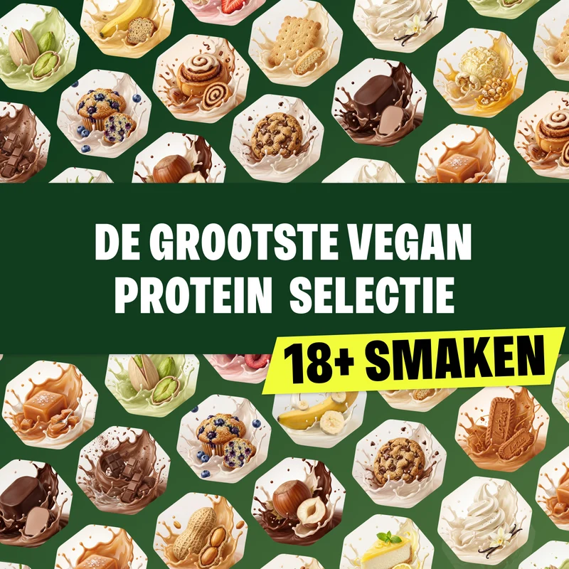 2 x Bodylab24 Vegan Protein (1000g)
