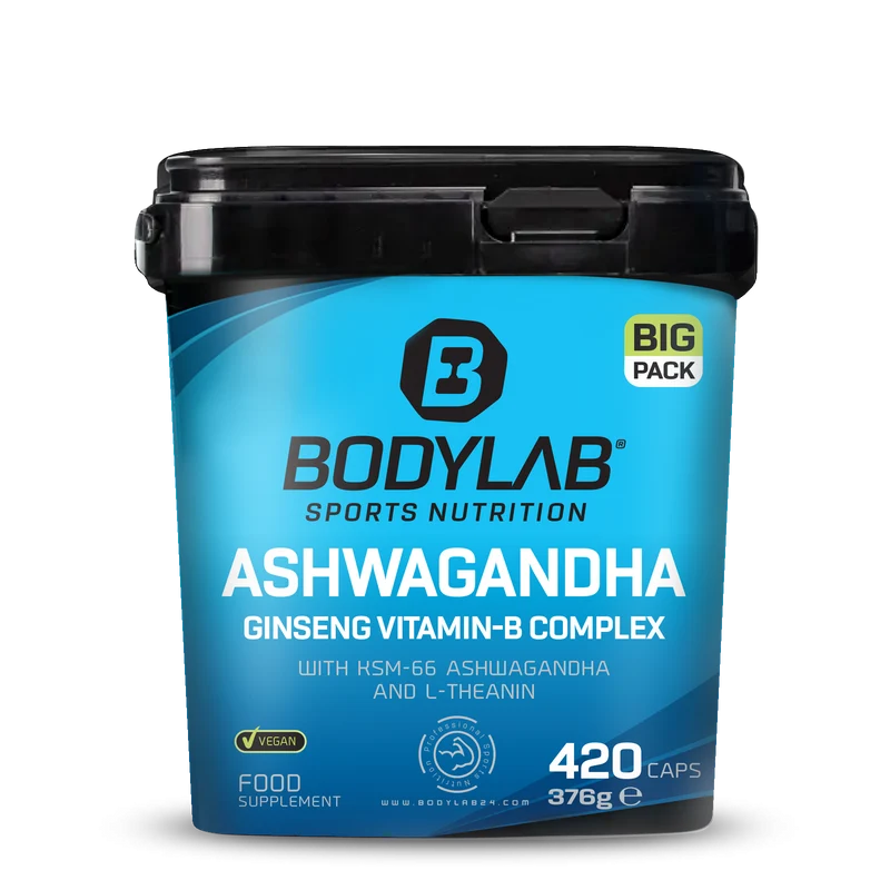 BIG PACK Ashwagandha Ginseng Vitamin-B Complex (420 capsules)