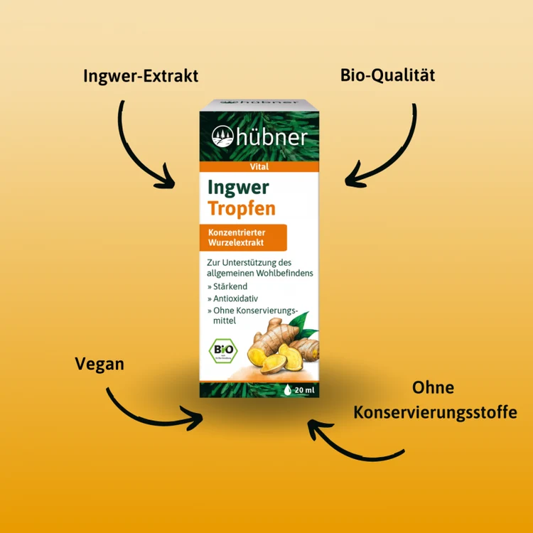Hübner - Ingwer Tropfen 20ml