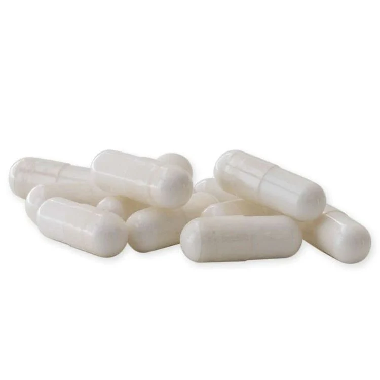 Raab Vitalfood - Flohsamenschalen Bio 100 Kapseln