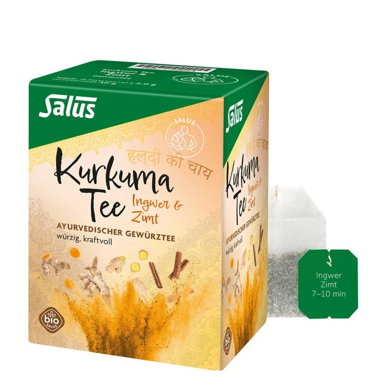 Salus Kurkuma Tee Ingwer & Zimt bio 15FB